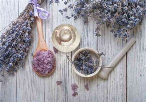 Lavender for Anxiety: A Powerful Stress-Relieving Herb | The Healthy RD