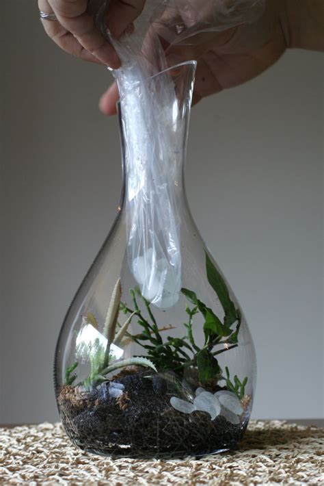 The Rainforest Garden: How to Make a Glowing Terrarium