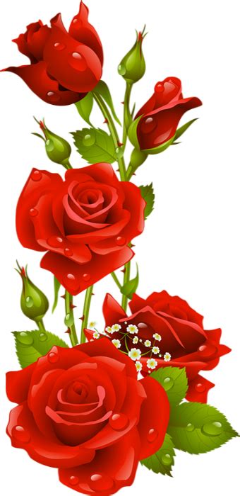 Tube Roses Rouges Saint Valentin Red Roses Png Clipart