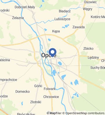 Dildo Z Wytryskiem Bagla Pl