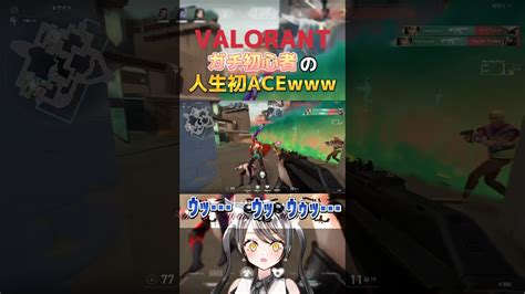 Valorantガチ初心者の人生初のaceがこちら Shorts Valorant 新人vtuber 七瀬なる