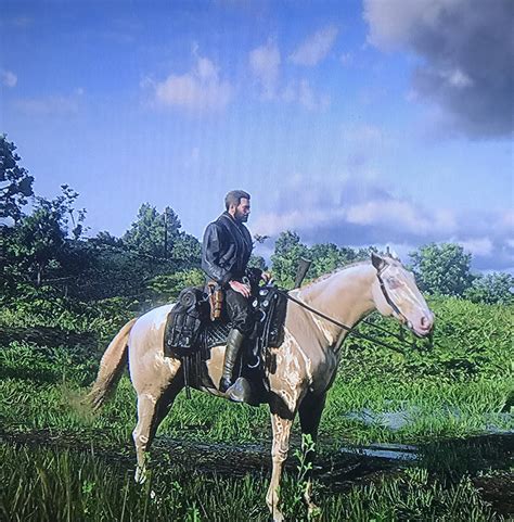 Rare Cremello Dutch Warmblood - Red Dead Redemption 2 - RDR2.org Forums