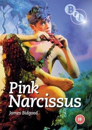 Pink Narcissus Dvd Amazon Co Uk Bobby Kendall James Bidgood