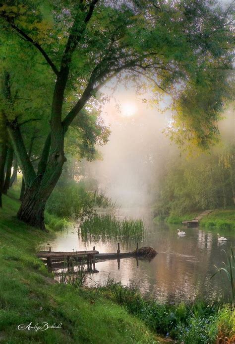 Fauna Flora Krajobrazy Polski I Nie Tylko Nature Photography