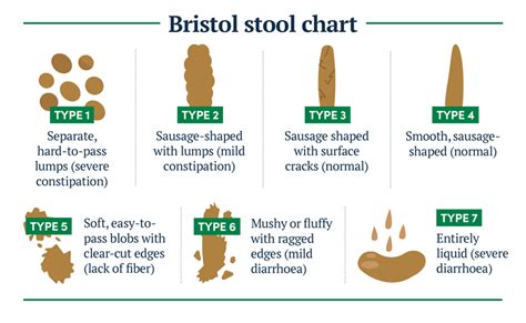 Bristol Stool Chart The Different Types Of Poop Goodrx 40 Off