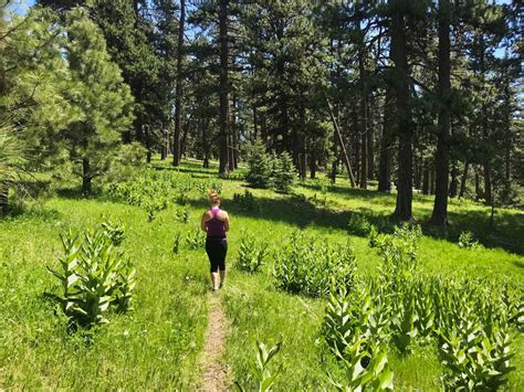 Round Mountain Hike Image