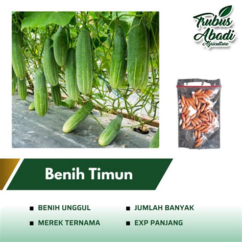 Jual Benih Bibit Timun Kemasan Repack Benih Sayuran Shopee Indonesia