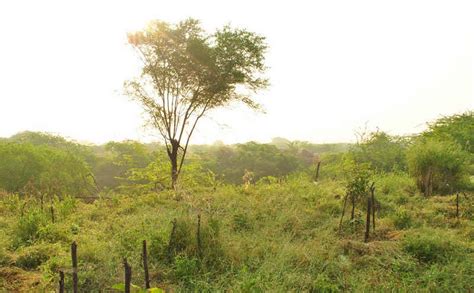 Exploring the Flora & Fauna of Aravalli Biodiversity Park