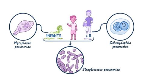 Pneumonia Pediatrics Clinical Sciences Osmosis Video Library