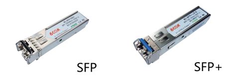 Discussion About Sfp Sfp Qsfp Qsfp Xfp And Cfp Modules Connectors Route Xp