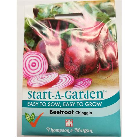 Beetroot Chioggia Globe Seeds Thompson And Morgan