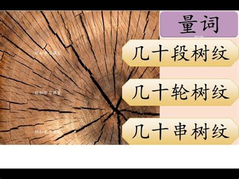 Measure Words Exercise Learn Chinese Measure Words