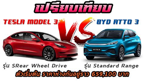 BYD Dolphin Vs Tesla Model 3