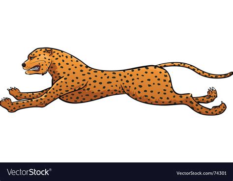 Running cheetah Royalty Free Vector Image - VectorStock