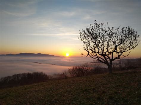 Selo Moje Na Brda Cu Negdje Kod Sba Pro Le Godine U Mjesecu Scrolller