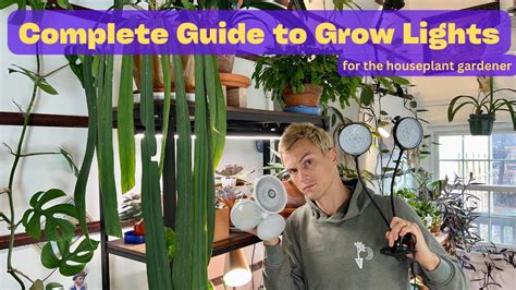 How To Use Grow Lights For Indoor Plants Complete Guide Youtube