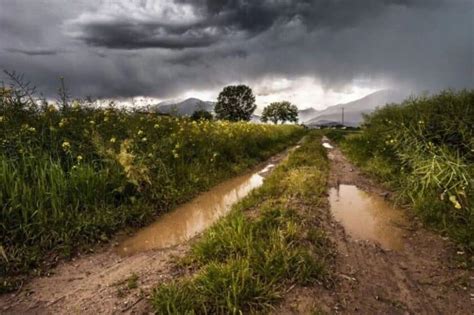 Cómo se produce el olor a tierra mojada Meteorología en Red