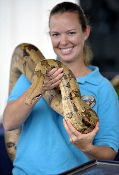 Wild Wonders Gives Glimpse Of Rainforest Orange County Register