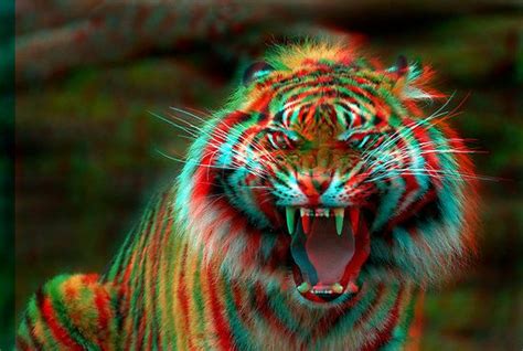 Tiger 3d With Glasses By Tonimn 3d Glasses Glasses Tiger