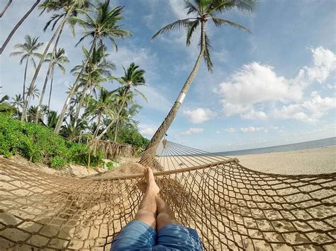 Beach Hammock Blue Sky Clouds Coconut Trees Exotic Island