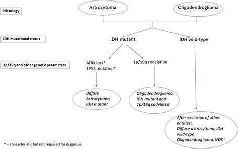 sığ not Infect idh mutant diffuse astrocytoma orta el nehir