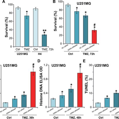 Silencing Of Grk6 Sensitizes Glioma Cells To Tmz A H4 And U251mg Download Scientific Diagram