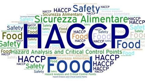 Corsi HACCP Cosa Sono E Dove Farli A Udine