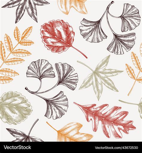 Autumn Seamless Pattern With Fall Leaves Vector Image