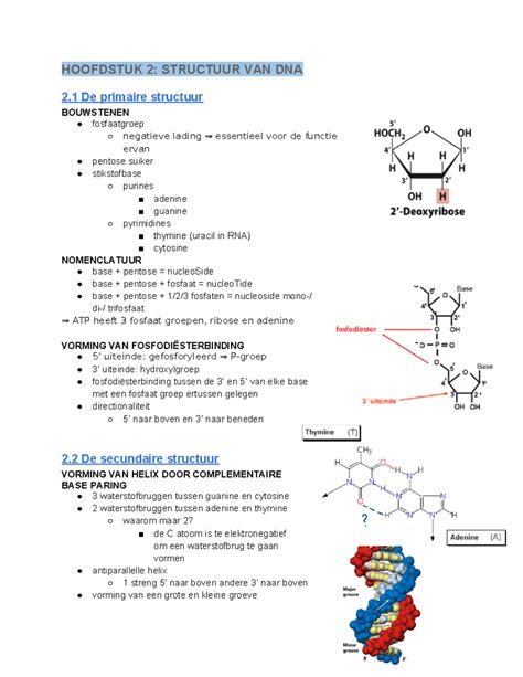 Cel IV Mobi H2 Samenvatting Cel IV Moleculaire Biologie En Genetica