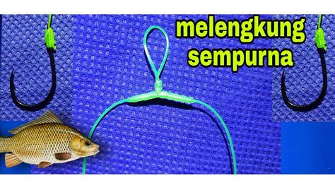 RANGKAIAN PANCING CABANG 2 KAIL UNTUK IKAN MAS IKAN TOMBRO YouTube