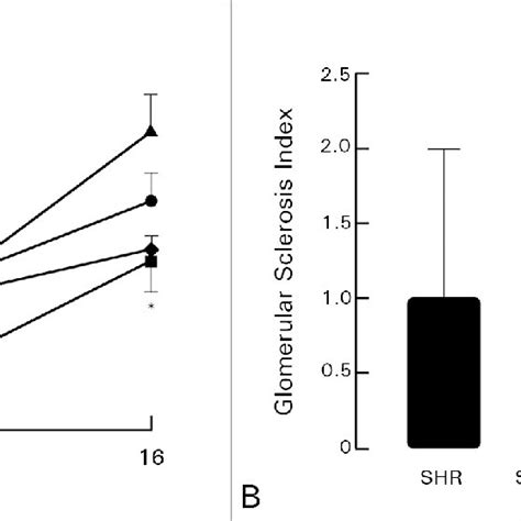 A B 24 Hour Urine Albumin In Milligrams Graph A And Glomerular