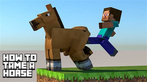 How To Tame A Horse In Minecraft Softbody Simulation 🐎 Youtube