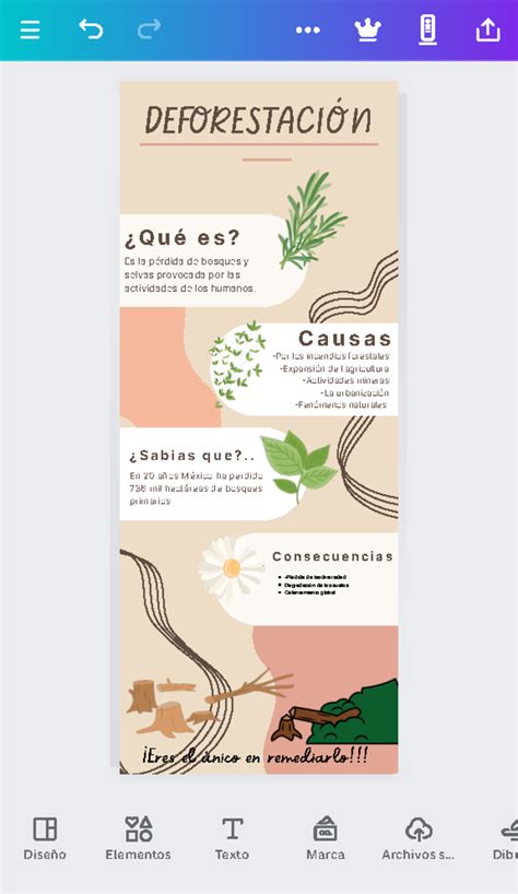 Cream Pastel Cute Natural Glowing Skin Herbs Infographic Infograf A