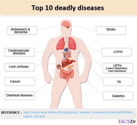 Top 10 Deadliest Diseases And What Is Causing Them Factdr