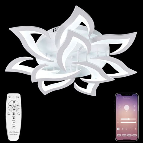 Потолочная люстра Natali Kovaltseva Olimp LED LAMPS 81224 - купить в ...
