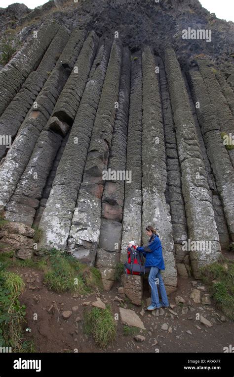 The Giants Organ Giants Causeway Stock Photo Alamy