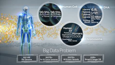 GENOMICS THE FUTURE OF FORENSIC DNA PROFILING Dying Words