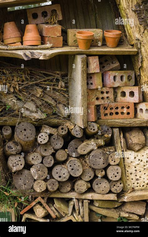 Hotel De Insectos O Bug Casa Hecha Con Registros Antiguos Ladrillos Y