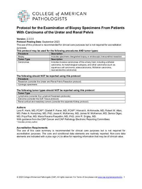 Fillable Online Renal Masses In The Adult Patient The Role Of