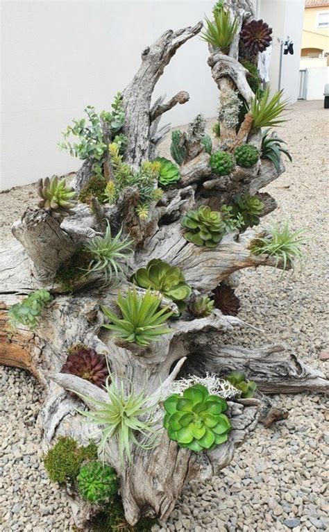 Aranjament Suculente Succulent Garden Diy Succulents Garden