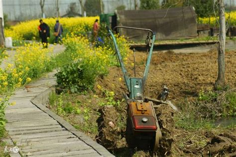 2018年農村補貼將全面改革，「取消」農業和貧困補貼，農民怎麼辦 每日頭條