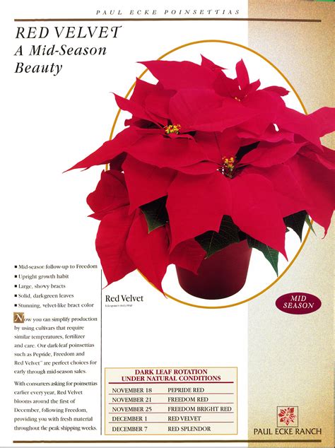 Paul Ecke Poinsettias 2000 Catalog · The Paul Ecke Ranch Inc Business