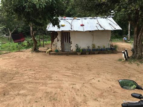 Build 5 Houses For Rural Villagers In Sri Lanka Globalgiving