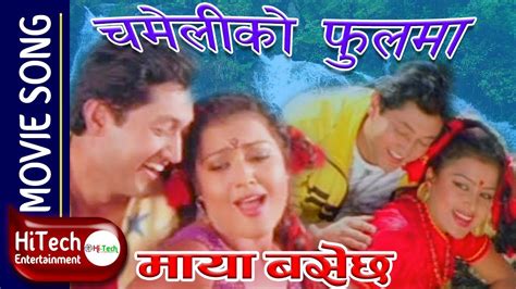 Chameliko Phoolma Maya Basechha Nepali Movie Song Rajesh Hamal