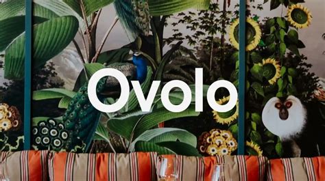 Ovolo Hotels Unveils New Branding - B&T