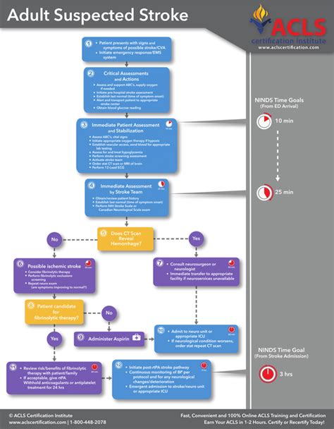 Heres The New Stroke Algorithm From Acls Certification Institute Download Other Acls