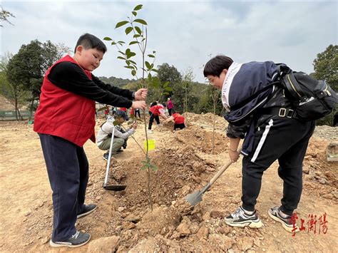 衡阳市人民政府门户网站 新春添新绿，“衡阳群众”雏雁志愿者开展义务植树活动