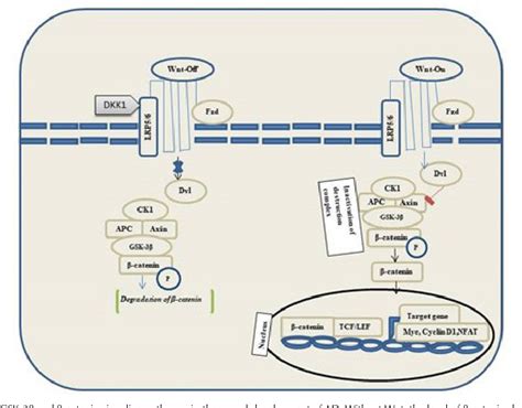 Figure 1 from Role of GSK-3β Inhibitors: New Promises and Opportunities ...