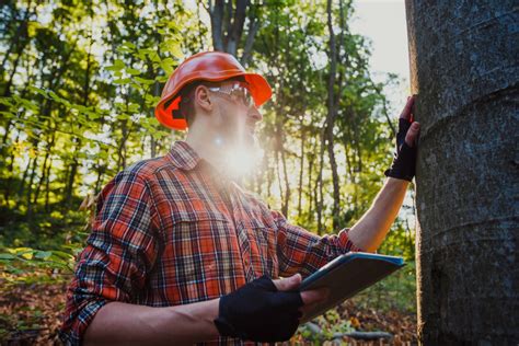 Obligaciones Preventivas En Aprovechamientos Forestales Para