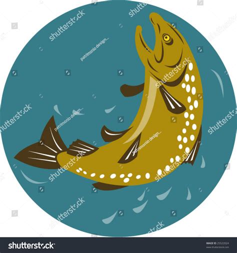 Trout Jumping Stock Vector (Royalty Free) 25522024